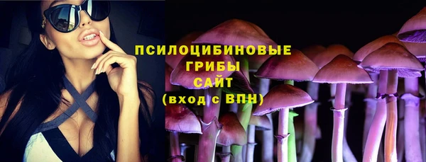 хмурый Краснотурьинск