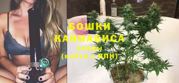 spice Краснослободск