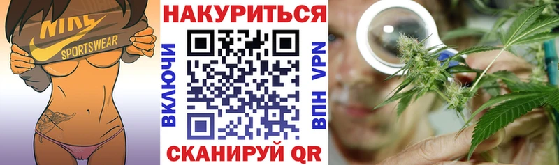 Купить  Ахтырский  Марихуана сатива 